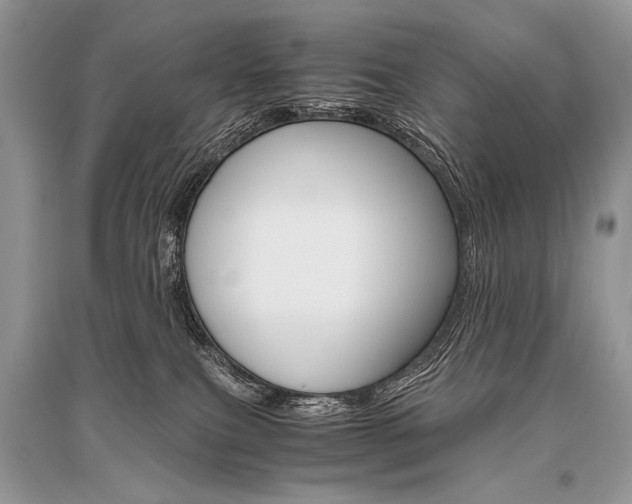 X0000096480087200801241157