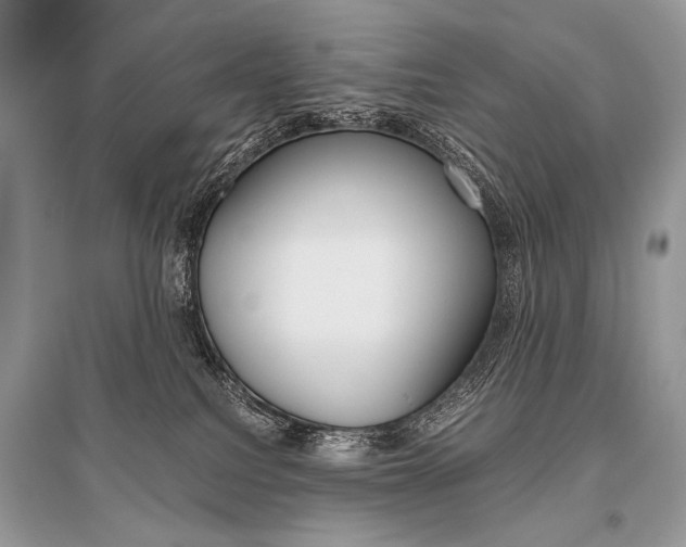 X0000096480088200801241157