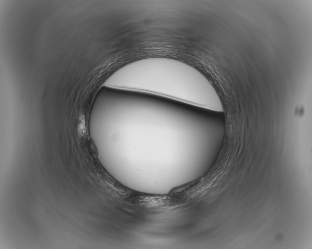 X0000096480089200801241157