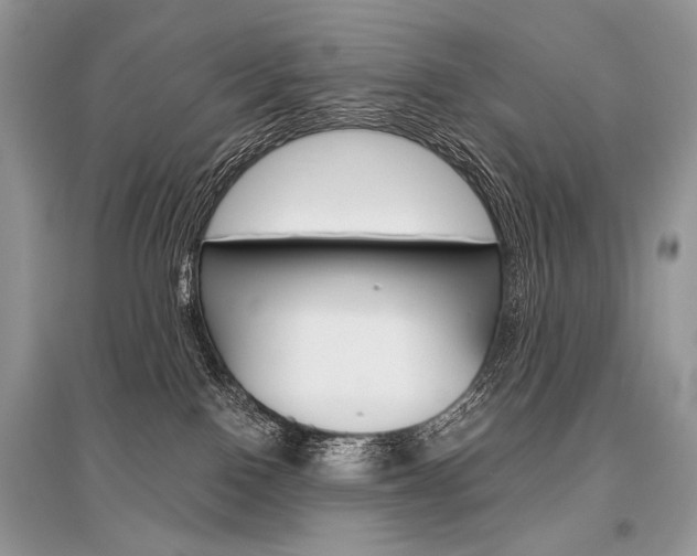 X0000096480090200801241157