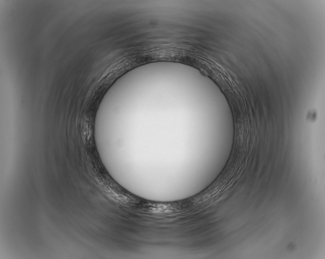 X0000096480091200801241157