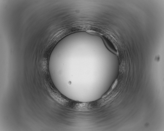 X0000096480092200801241157
