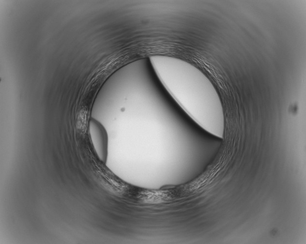 X0000096480093200801241157