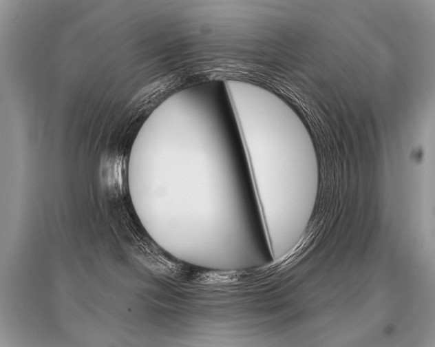 X0000096480094200801241157