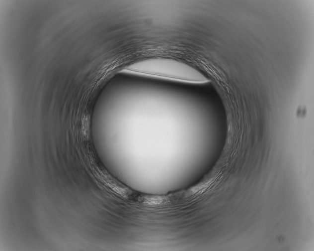 X0000096480096200801241157