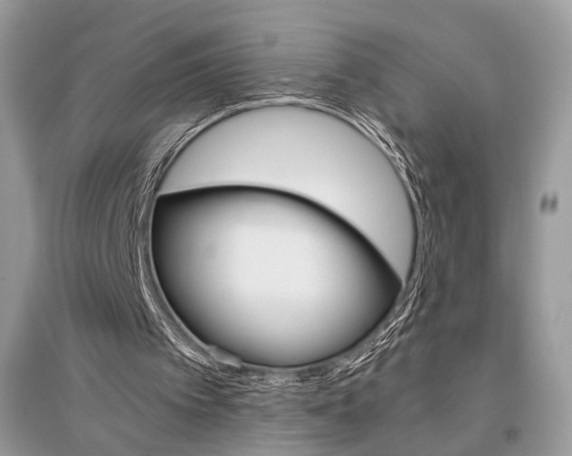 X0000096480097200801241156