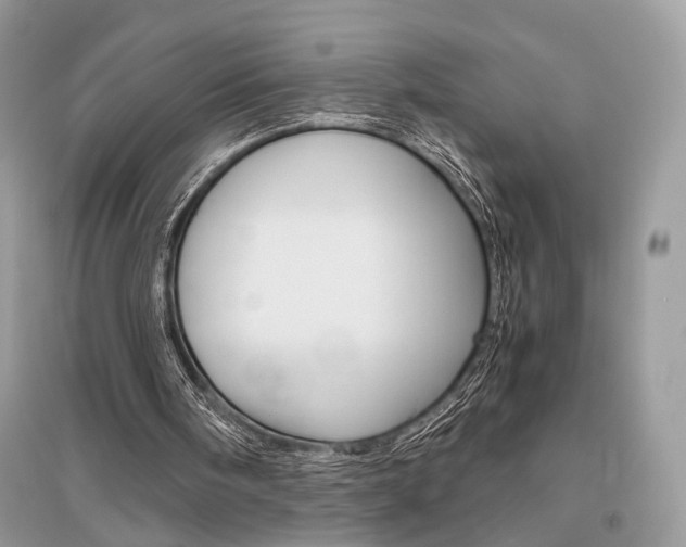 X0000096480098200801241156