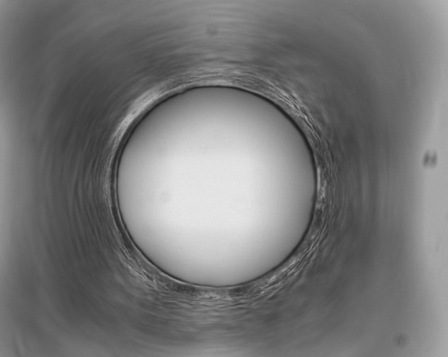 X0000096480099200801241156