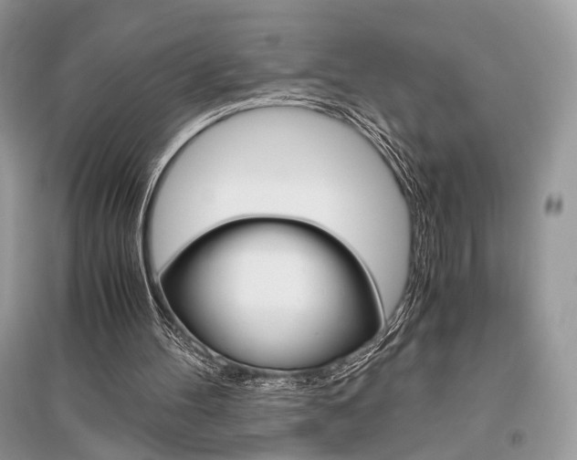 X0000096480100200801241156