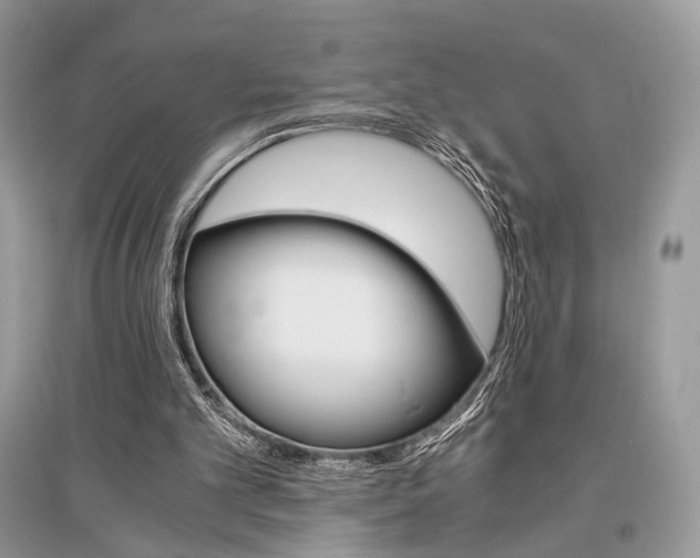 X0000096480101200801241156
