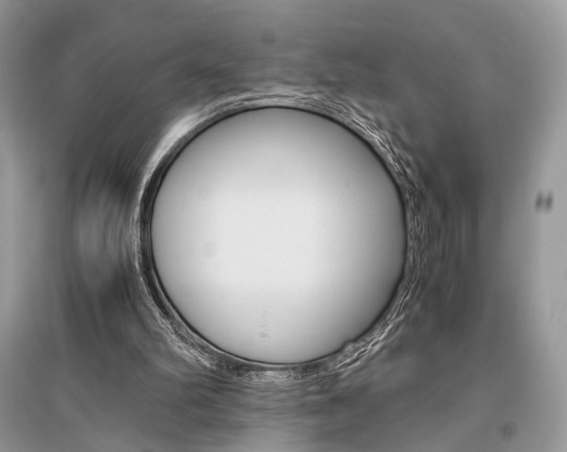 X0000096480102200801241156