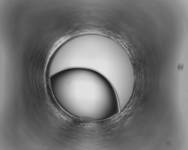 X0000096480104200801241156
