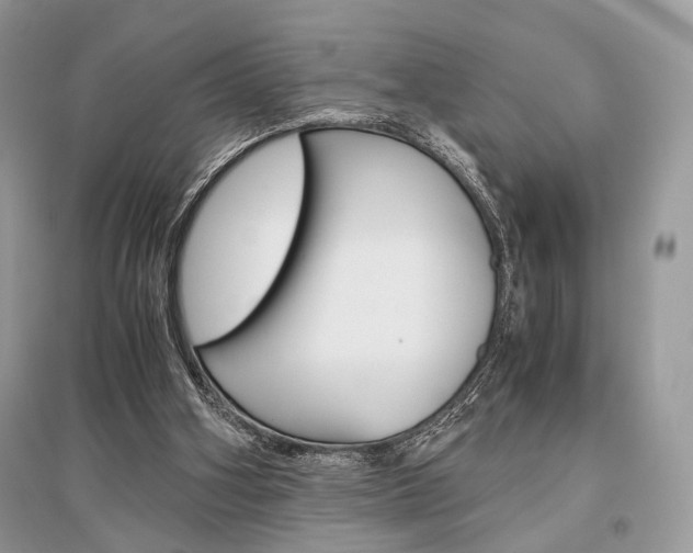X0000096480106200801241156