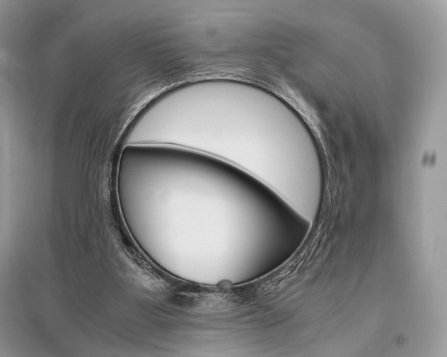 X0000096480107200801241156