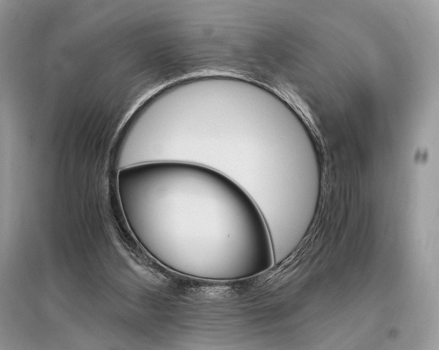 X0000096480108200801241156