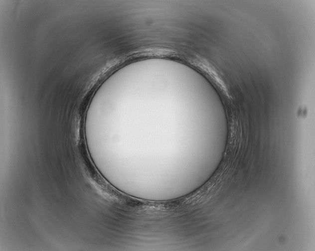 X0000096480110200801241156