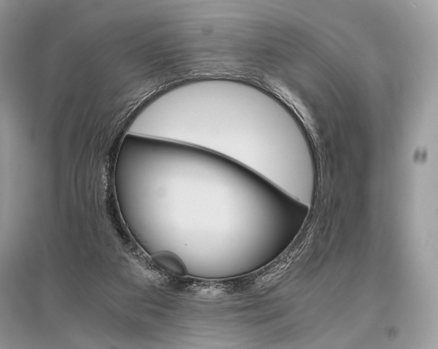 X0000096480113200801241156