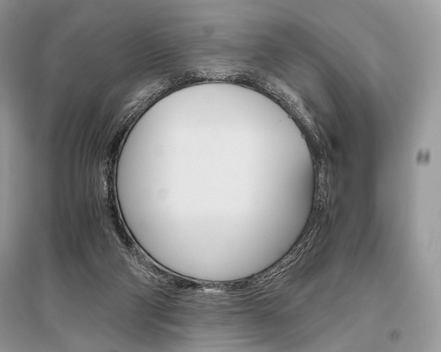 X0000096480114200801241156