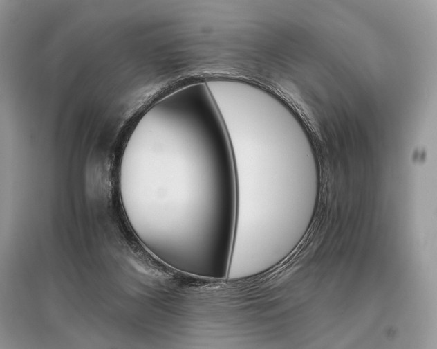 X0000096480116200801241156