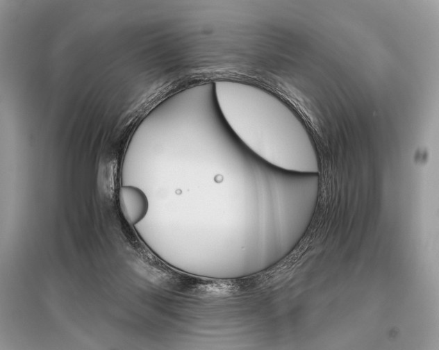 X0000096480118200801241156