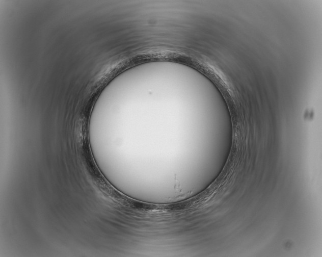 X0000096480119200801241156
