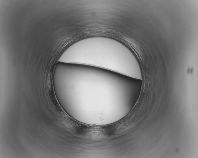 X0000096480121200801241156