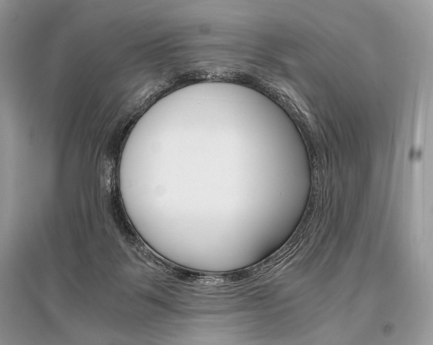 X0000096480123200801241156