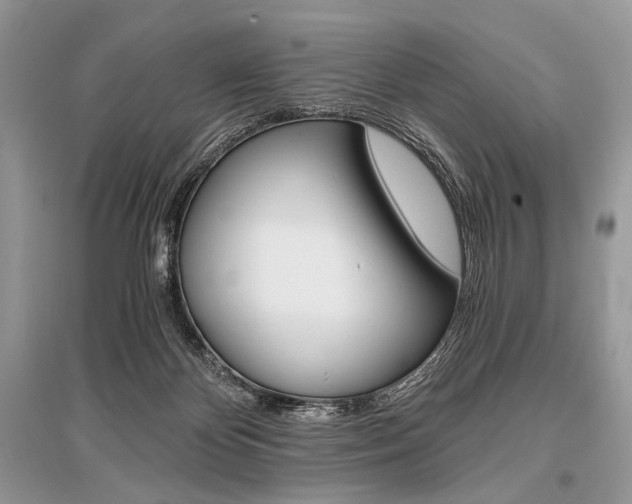 X0000096480124200801241156