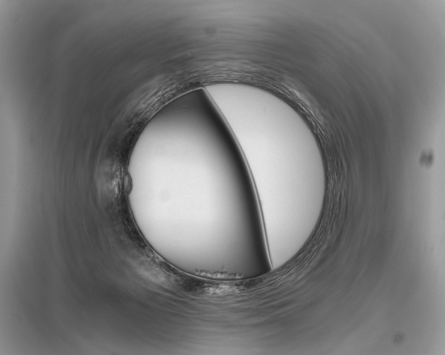 X0000096480125200801241156
