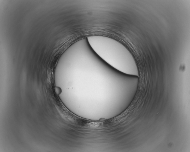 X0000096480126200801241156