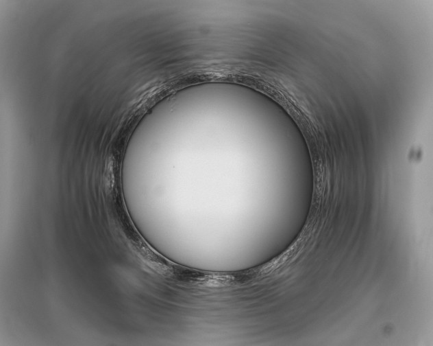X0000096480128200801241156