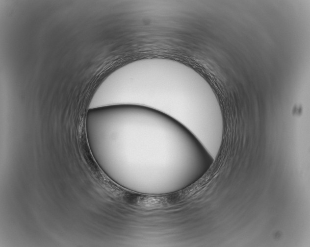 X0000096480129200801241156