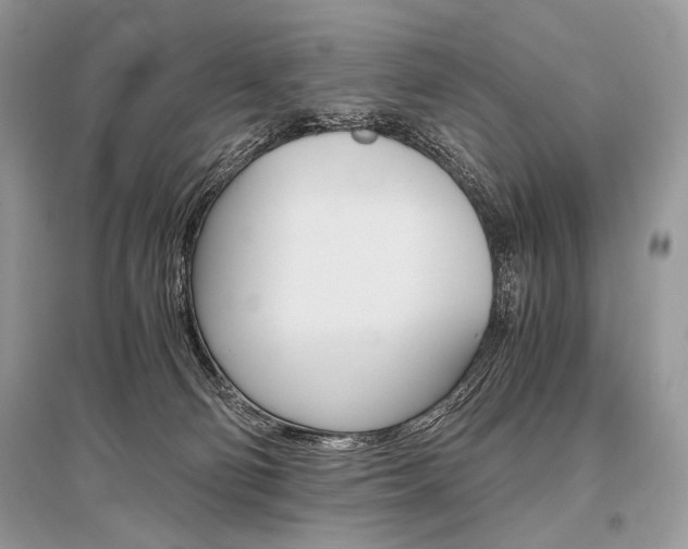 X0000096480130200801241156