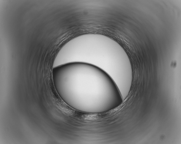 X0000096480132200801241156