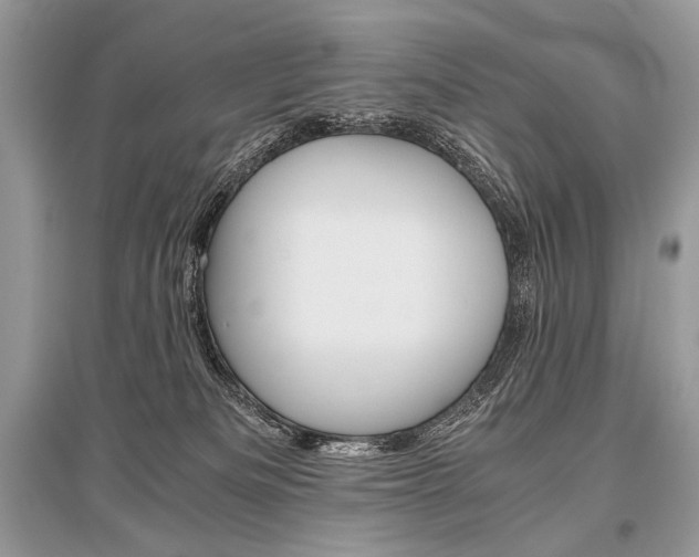 X0000096480133200801241156