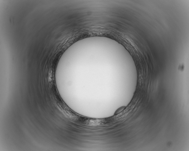 X0000096480134200801241156
