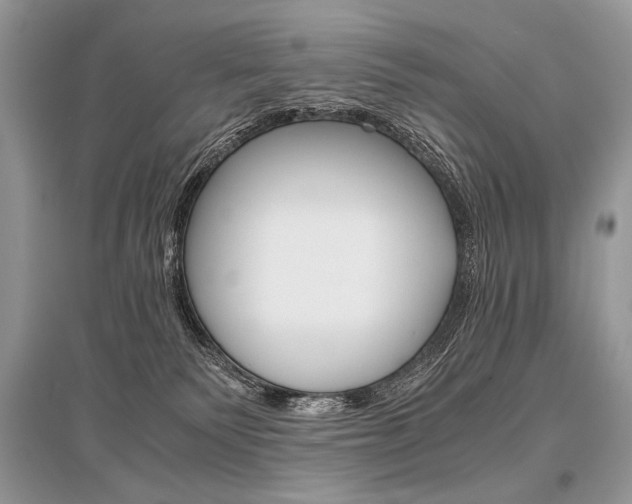 X0000096480135200801241155