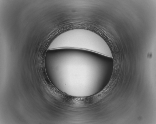 X0000096480136200801241155