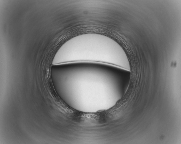 X0000096480137200801241155