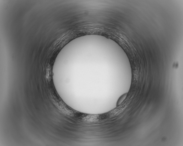 X0000096480138200801241155