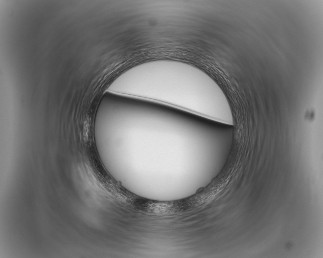 X0000096480139200801241155