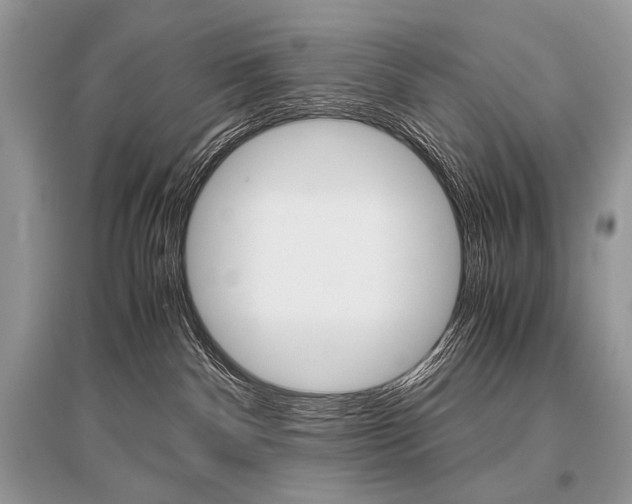 X0000096480140200801241155
