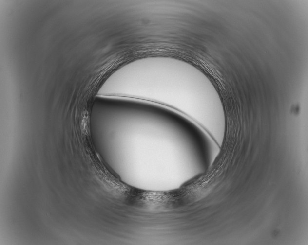X0000096480141200801241155