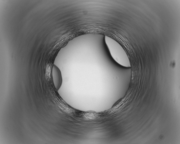 X0000096480142200801241155