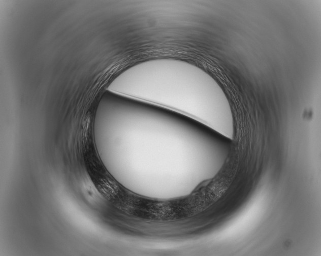 X0000096480143200801241155