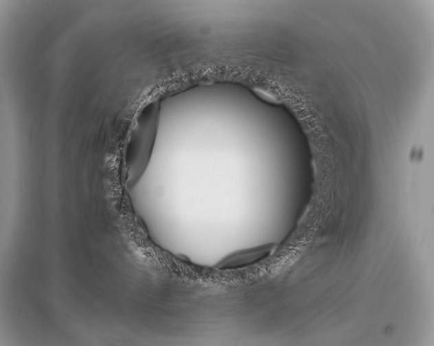 X0000096480144200801241155