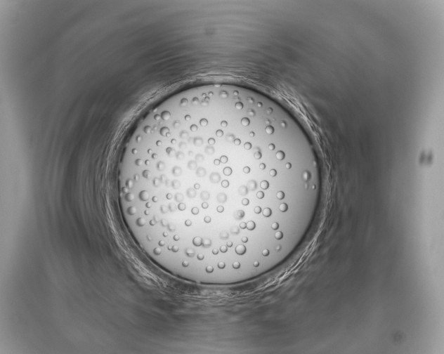 X0000096480145200801241155