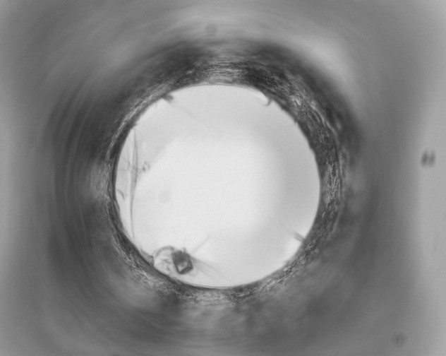 X0000096480146200801241155