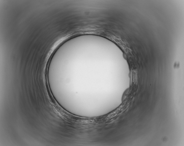 X0000096480147200801241155