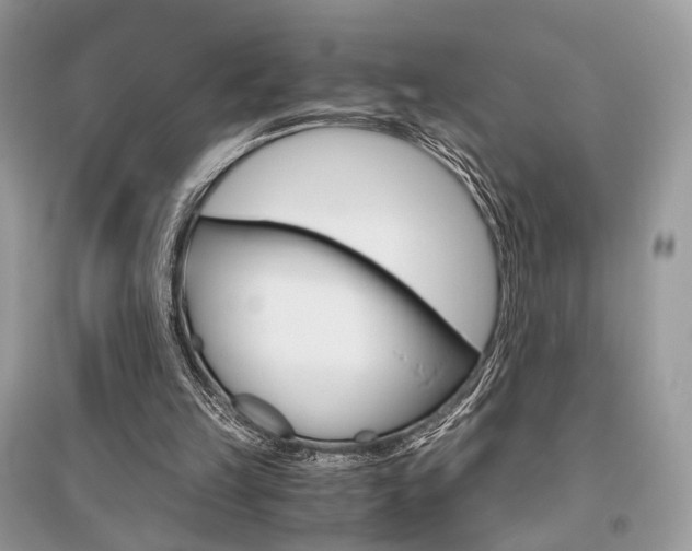 X0000096480149200801241155